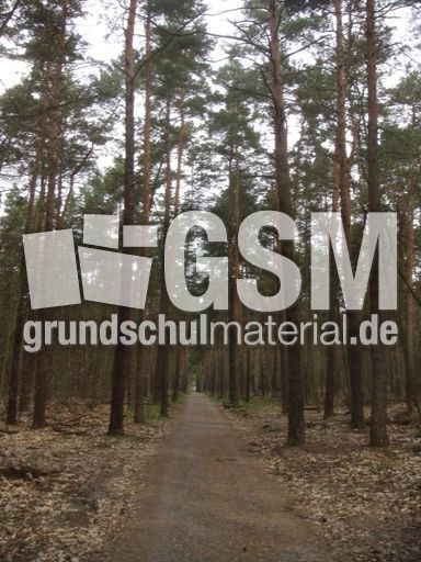 Grunewald 01.jpg